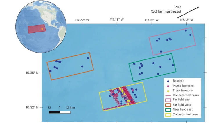 Eva Stewart et al. / Nature Ecology & Evolution, 2025