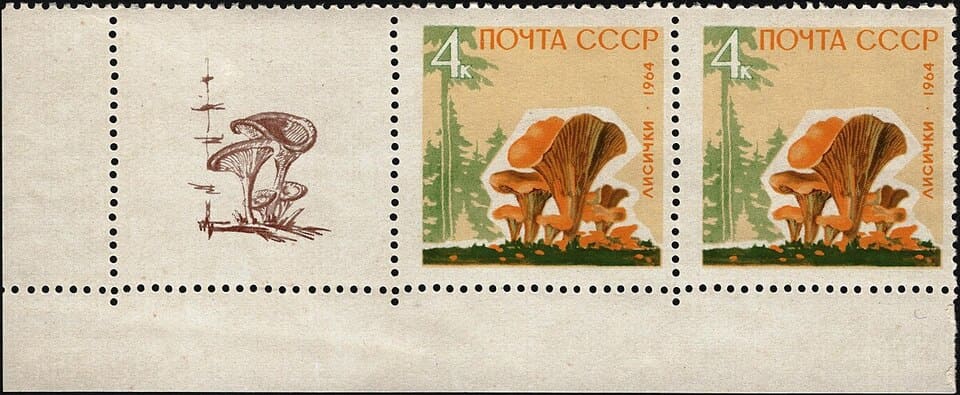 Ð¤Ð¾ÑÐ¾ 6. ÐÐ°ÑÐºÐ° Ñ Ð»Ð¸ÑÐ¸ÑÐºÐ¾Ð¹, Ð¡Ð¡Ð¡Ð&nbsp;, 1964 Ð³Ð¾Ð´. Ð¤Ð¾ÑÐ¾ â Matsievsky, ÐÐ¸ÐºÐ¸Ð¿ÐµÐ´Ð¸Ñ