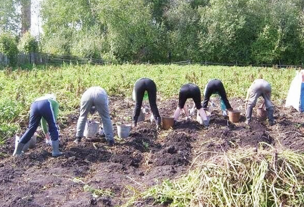 ÐÐ»ÑÑÑÑÐ°ÑÑÑÐ½Ð°Ðµ ÑÐ¾ÑÐ°