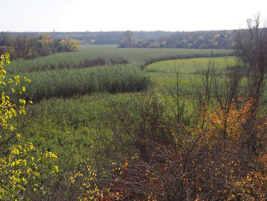 Ð¢ÑÑÑÑÐ¾ÑÑÑ ÐÐ°ÑÐ¾ÑÑÐºÐ°Ð³Ð° Ð²Ð°Ð´Ð°ÑÑÐ¾Ð²ÑÑÑÐ°, ÑÑÐ¾ Ð·Ð°ÑÐ°ÑÐ»Ð° Ð²ÑÑÐ±Ð¾Ð¹. Ð¤Ð¾ÑÐ° - ÐÐ²Ð°Ð½ ÐÐ°Ð¹ÑÑÐµÐ½ÐºÐ°, Ð£ÐºÑÐ°ÑÐ½ÑÐºÐ°Ðµ Ð±Ð°ÑÐ°Ð½ÑÑÐ½Ð°Ðµ ÑÐ°Ð²Ð°ÑÑÑÑÐ²Ð° / Facebook