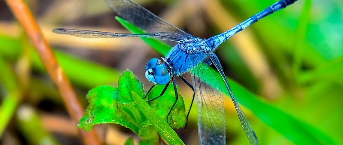 ÐÐ»Ð»ÑÑÑÑÐ°ÑÐ¸Ð²Ð½Ð¾Ðµ Ð¸Ð·Ð¾Ð±ÑÐ°Ð¶ÐµÐ½Ð¸Ðµ