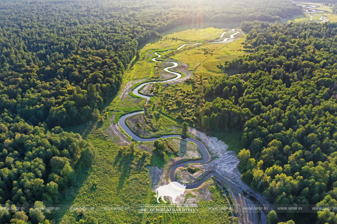 Ð¤Ð¾ÑÐ° - ÐÐ°ÑÐ¿Ð°ÑÐº "ÐÐµÐ»Ð°Ð²ÐµÐ¶ÑÐºÐ°Ñ Ð¿ÑÑÑÐ°"