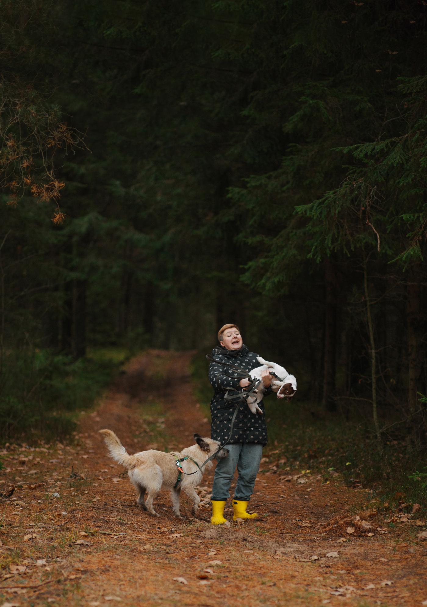 Ð¯ Ð¸ Ð¼Ð¾Ð¸ ÑÐ¾Ð±Ð°ÐºÐ¸ ÐÑÐ±Ð»Ð¸Ðº Ð¸ Ð¨Ð¼ÐµÐ»Ñ Ð² Ð»ÐµÑÐ°Ñ ÐÐºÑÐ°ÐºÐ¾Ð²ÑÐ¸Ð½Ñ