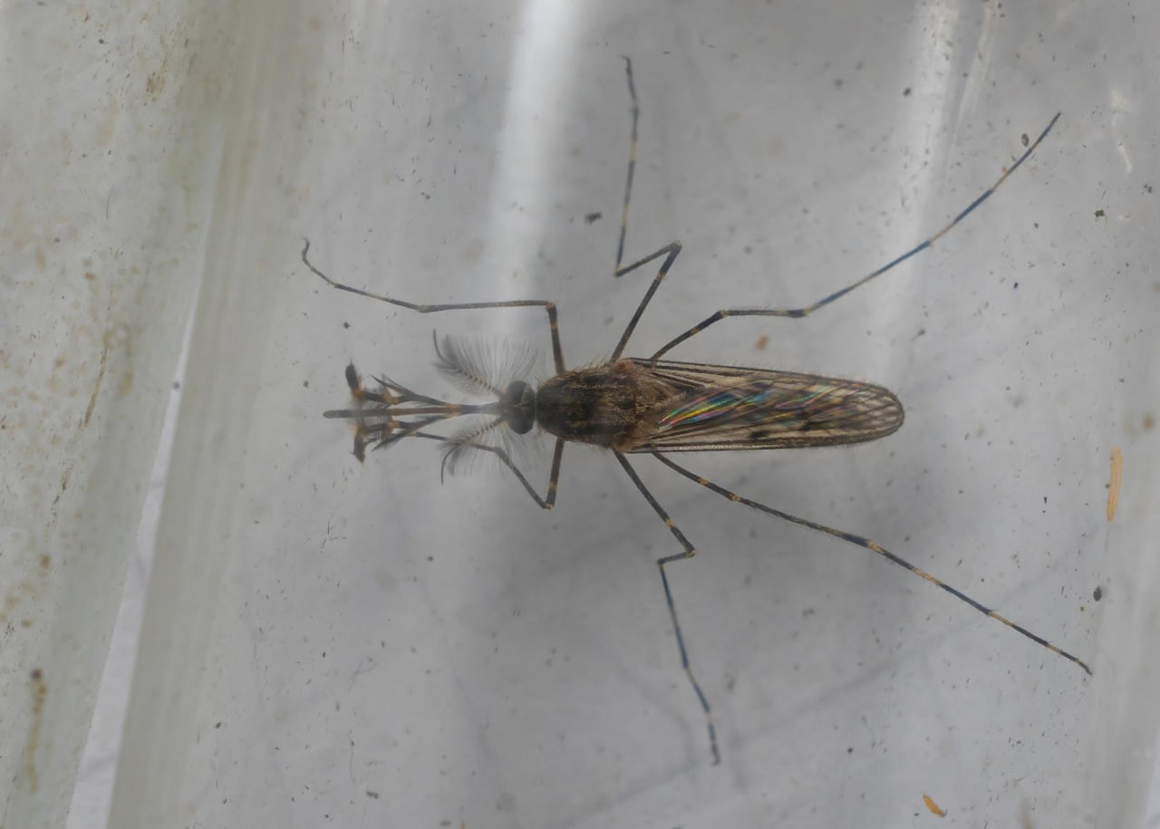 Ð¤Ð¾ÑÐ¾ - Iceland Monitor