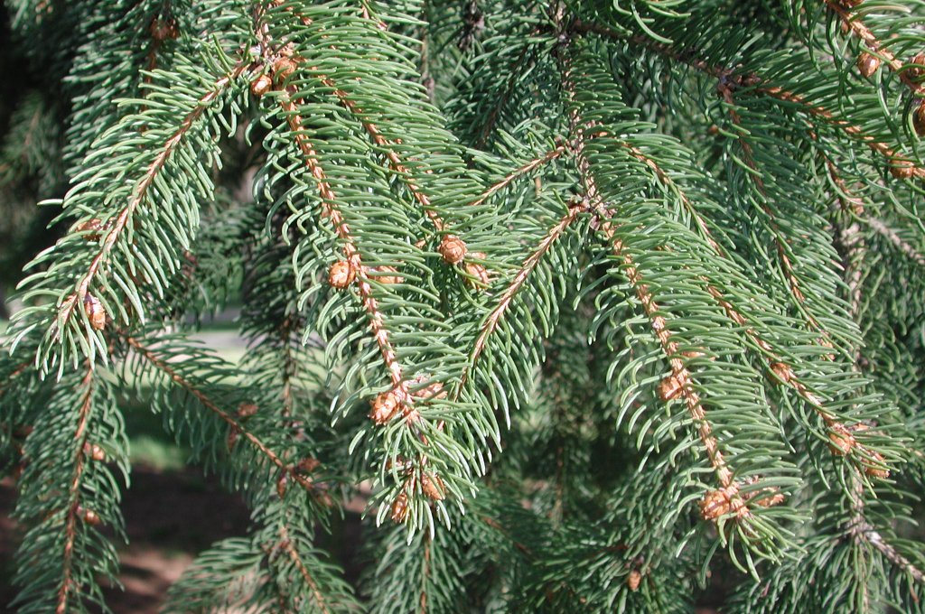 ÐÐ»Ð»ÑÑÑÑÐ°ÑÐ¸Ð²Ð½Ð¾Ðµ Ð¸Ð·Ð¾Ð±ÑÐ°Ð¶ÐµÐ½Ð¸Ðµ