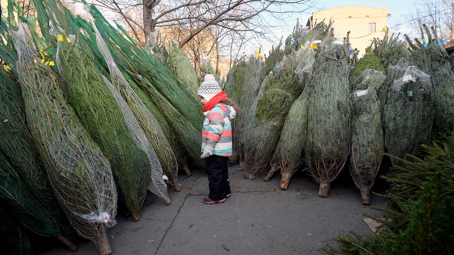 Ð¤Ð¾ÑÐ¾ - ÐÐ»ÐµÐºÑÐµÐ¹ ÐÑÐ´ÐµÐ½ÐºÐ¾/Ð ÐÐ Â«ÐÐ¾Ð²Ð¾ÑÑÐ¸Â»