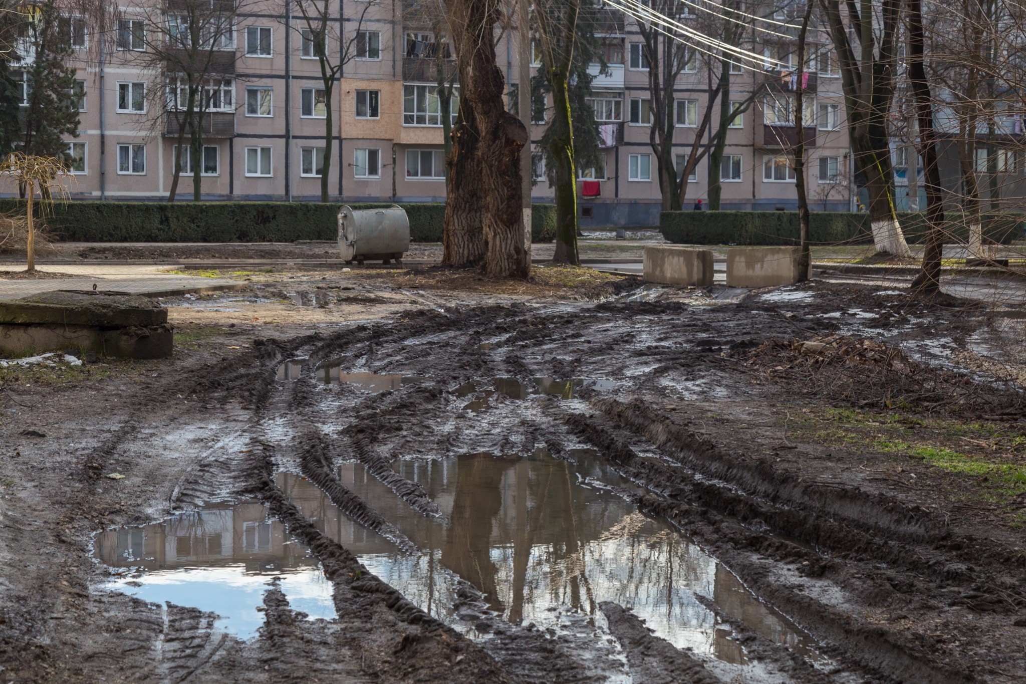 Ð¤Ð¾ÑÐ¾ - Envato
