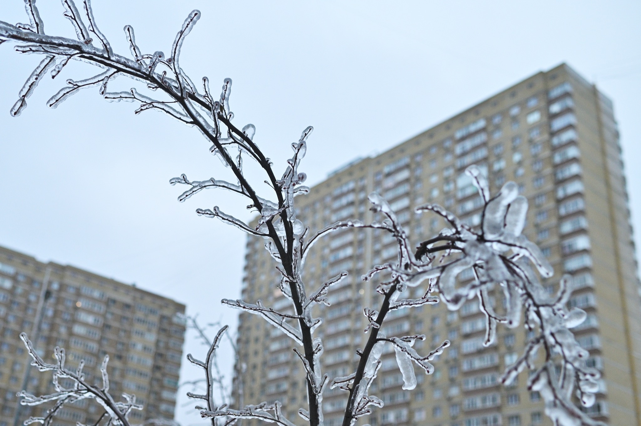 Ð¤Ð¾ÑÐ¾ - Envato
