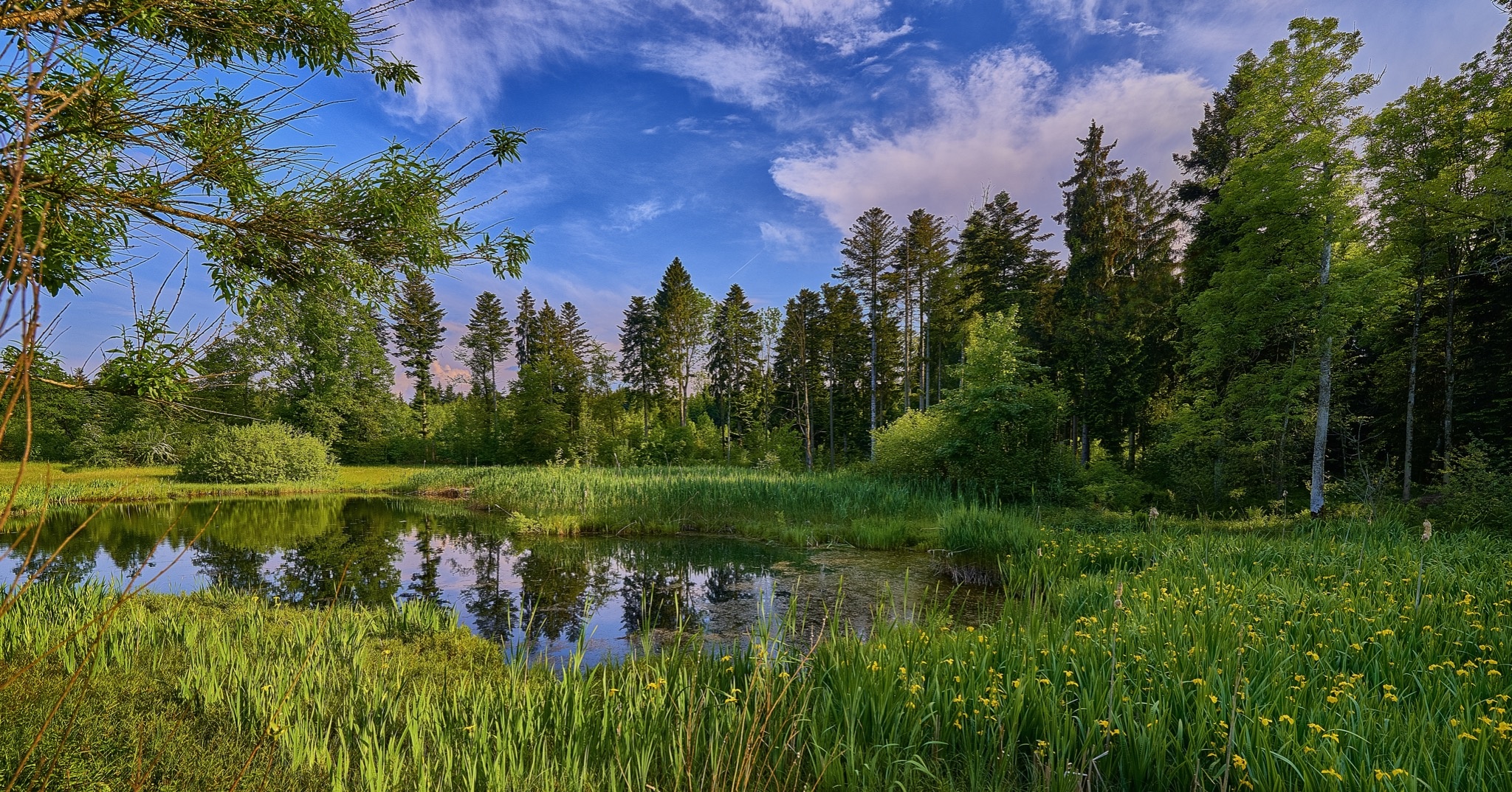 Ð¤Ð¾ÑÐ¾ - Envato