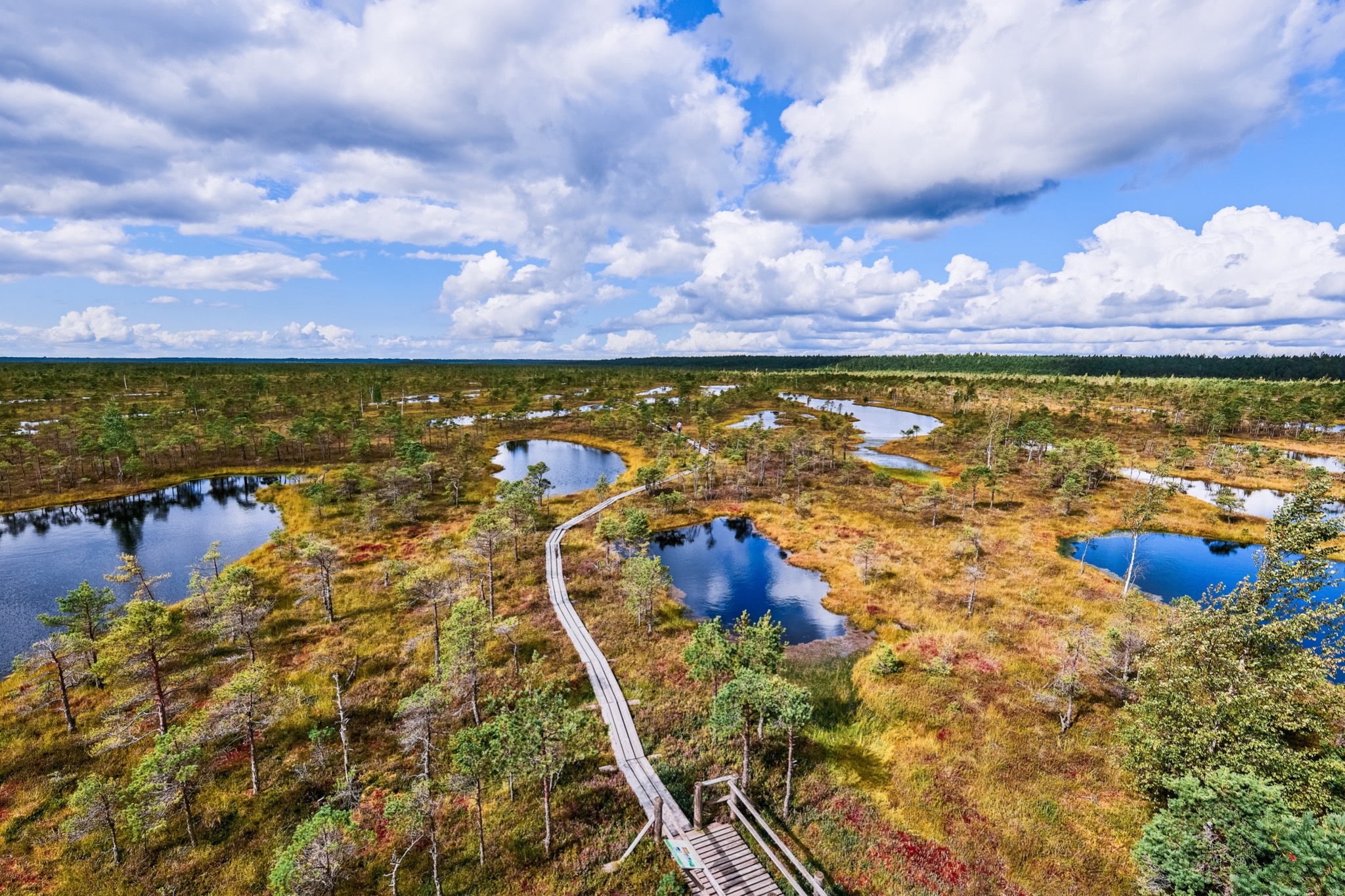 Ð¤Ð¾ÑÐ¾ - Envato