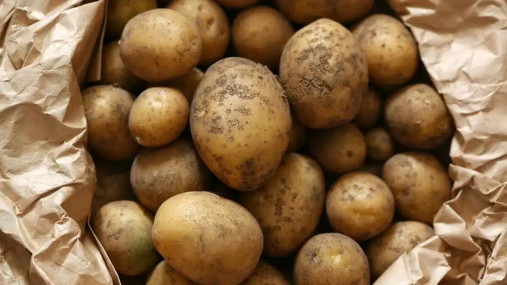 ÐÐ»ÑÑÑÑÐ°ÑÑÑÐ½Ð°Ðµ ÑÐ¾ÑÐ°