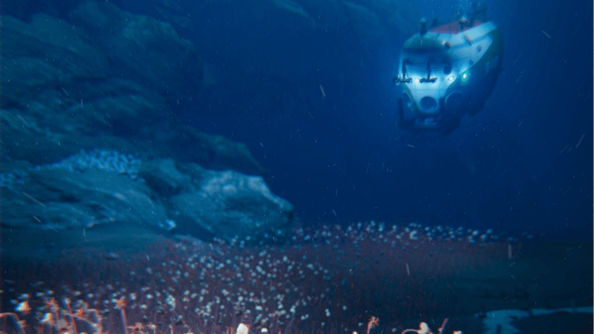 Ð¤Ð¾ÑÐ¾ - IDSSE/CAS