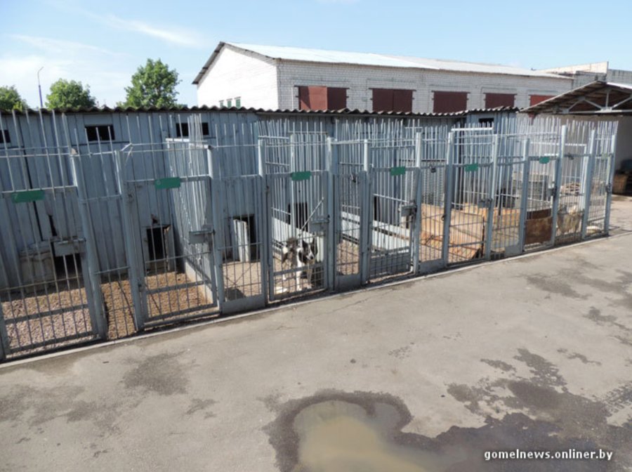 ÐÐ»Ð»ÑÑÑÑÐ°ÑÐ¸Ð²Ð½Ð¾Ðµ Ð¸Ð·Ð¾Ð±ÑÐ°Ð¶ÐµÐ½Ð¸Ðµ