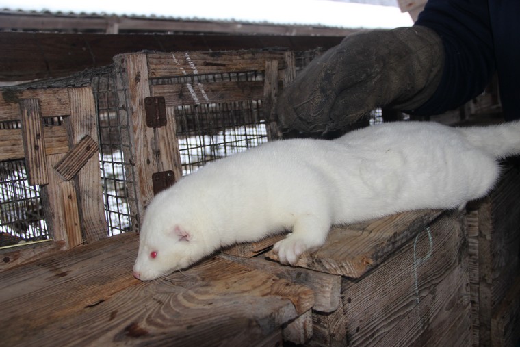 ÐÐ»Ð»ÑÑÑÑÐ°ÑÐ¸Ð²Ð½Ð¾Ðµ Ð¸Ð·Ð¾Ð±ÑÐ°Ð¶ÐµÐ½Ð¸Ðµ