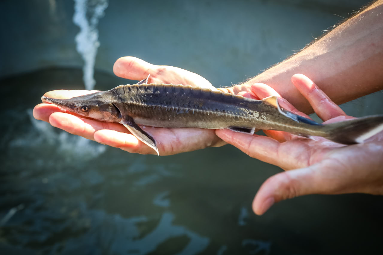 Ð¤Ð¾ÑÐ¾ - WWF-Ð£ÐºÑÐ°Ð¸Ð½Ð°