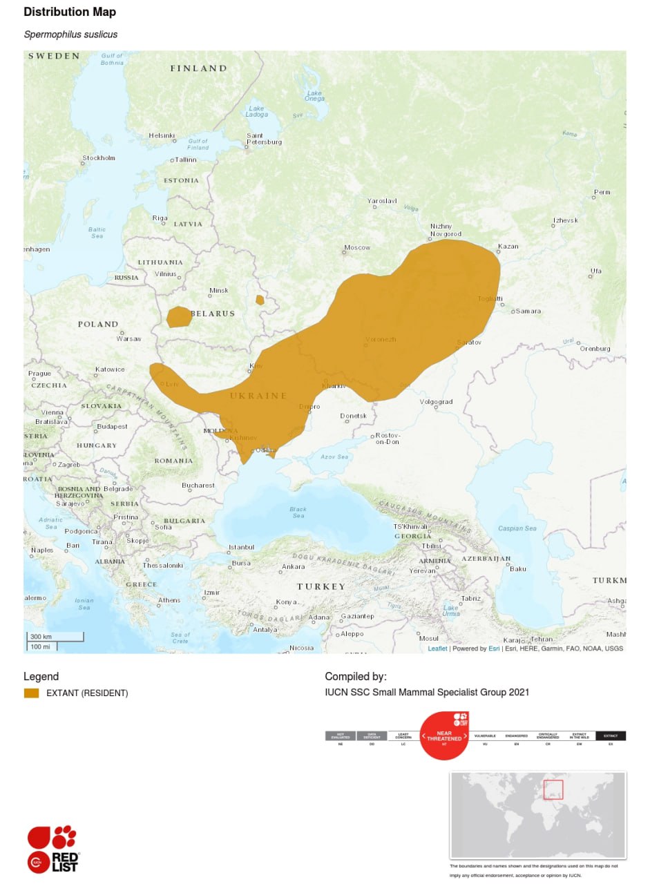  ÐÑÐµÐ°Ð» Ð¾Ð±Ð¸ÑÐ°Ð½Ð¸Ñ ÐºÑÐ°Ð¿ÑÐ°ÑÐ¾Ð³Ð¾ ÑÑÑÐ»Ð¸ÐºÐ° Ð² ÐÐ²ÑÐ¾Ð¿Ðµ Ð¿Ð¾ cÑÐ°ÑÑÐ¼ Ð´Ð°Ð½Ð½ÑÐ¼ ÐÐµÐ¶Ð´ÑÐ½Ð°ÑÐ¾Ð´Ð½Ð¾Ð¹ ÐÑÐ°ÑÐ½Ð¾Ð¹ ÐºÐ½Ð¸Ð³Ð¸.