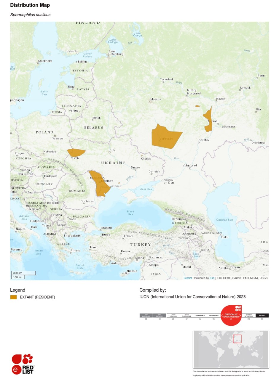 ÐÑÐµÐ°Ð» Ð¾Ð±Ð¸ÑÐ°Ð½Ð¸Ñ ÐºÑÐ°Ð¿ÑÐ°ÑÐ¾Ð³Ð¾ ÑÑÑÐ»Ð¸ÐºÐ° Ð¿Ð¾ Ð¾Ð±Ð½Ð¾Ð²Ð»ÐµÐ½Ð½ÑÐ¼ Ð´Ð°Ð½Ð½ÑÐ¼ ÐÐµÐ¶Ð´ÑÐ½Ð°ÑÐ¾Ð´Ð½Ð¾Ð¹ ÐÑÐ°ÑÐ½Ð¾Ð¹ ÐºÐ½Ð¸Ð³Ð¸.