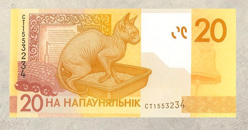 Ð¤Ð¾ÑÐ° - ÐÐ½ÑÑÐ°Ð³ÑÐ°Ð¼ Zoobazar