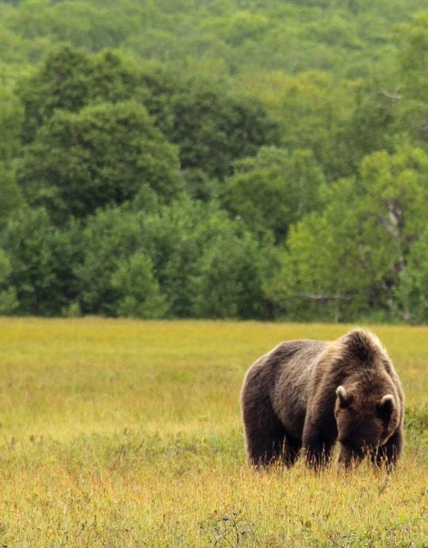 Ð¤Ð¾ÑÐ¾ - Ð¢Ð-ÐºÐ°Ð½Ð°Ð» ÐÐÐÐ 
