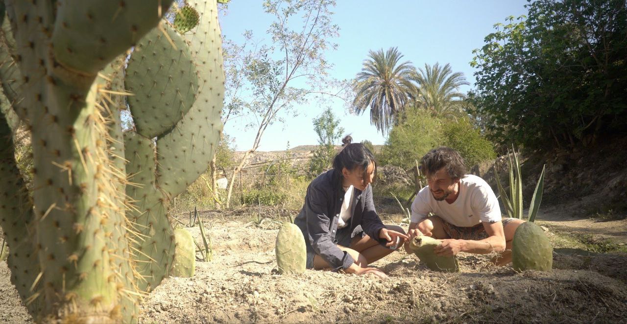 Ð¤Ð¾ÑÐ¾ - Ð¸Ð· Ð»Ð¸ÑÐ½Ð¾Ð³Ð¾ Ð°ÑÑÐ¸Ð²Ð° Ð³ÐµÑÐ¾Ð¸Ð½Ð¸