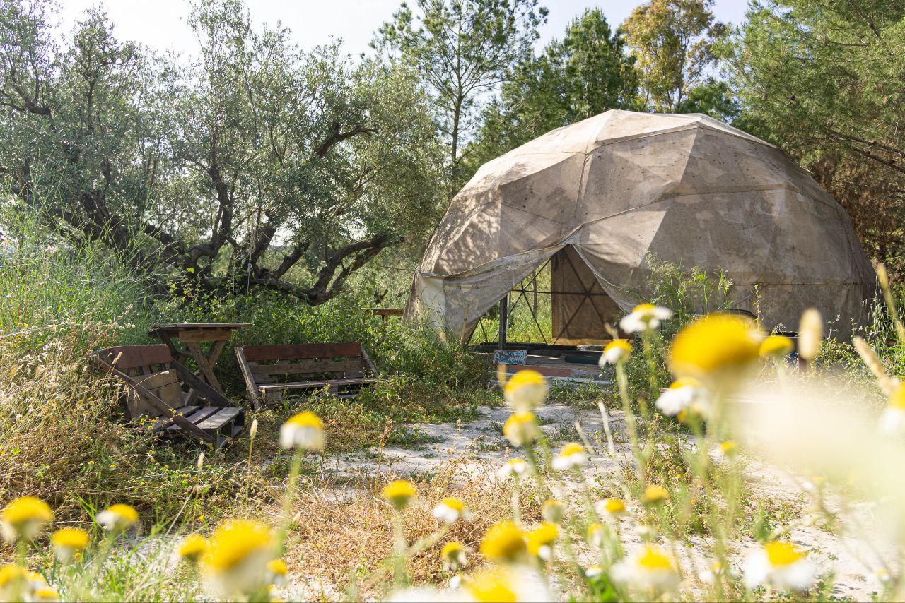 Ð¤Ð¾ÑÐ¾ - Ð¸Ð· Ð»Ð¸ÑÐ½Ð¾Ð³Ð¾ Ð°ÑÑÐ¸Ð²Ð° Ð³ÐµÑÐ¾Ð¸Ð½Ð¸