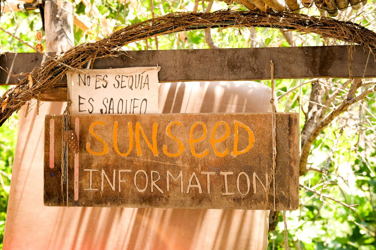 Ð¤Ð¾ÑÐ¾ - Ð¸Ð· Ð»Ð¸ÑÐ½Ð¾Ð³Ð¾ Ð°ÑÑÐ¸Ð²Ð° Ð³ÐµÑÐ¾Ð¸Ð½Ð¸