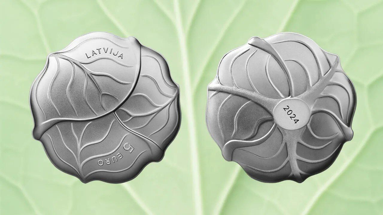 ÐÐ¾Ð½ÐµÑÐ° "ÐÐ°Ð¿ÑÑÑÐ°"