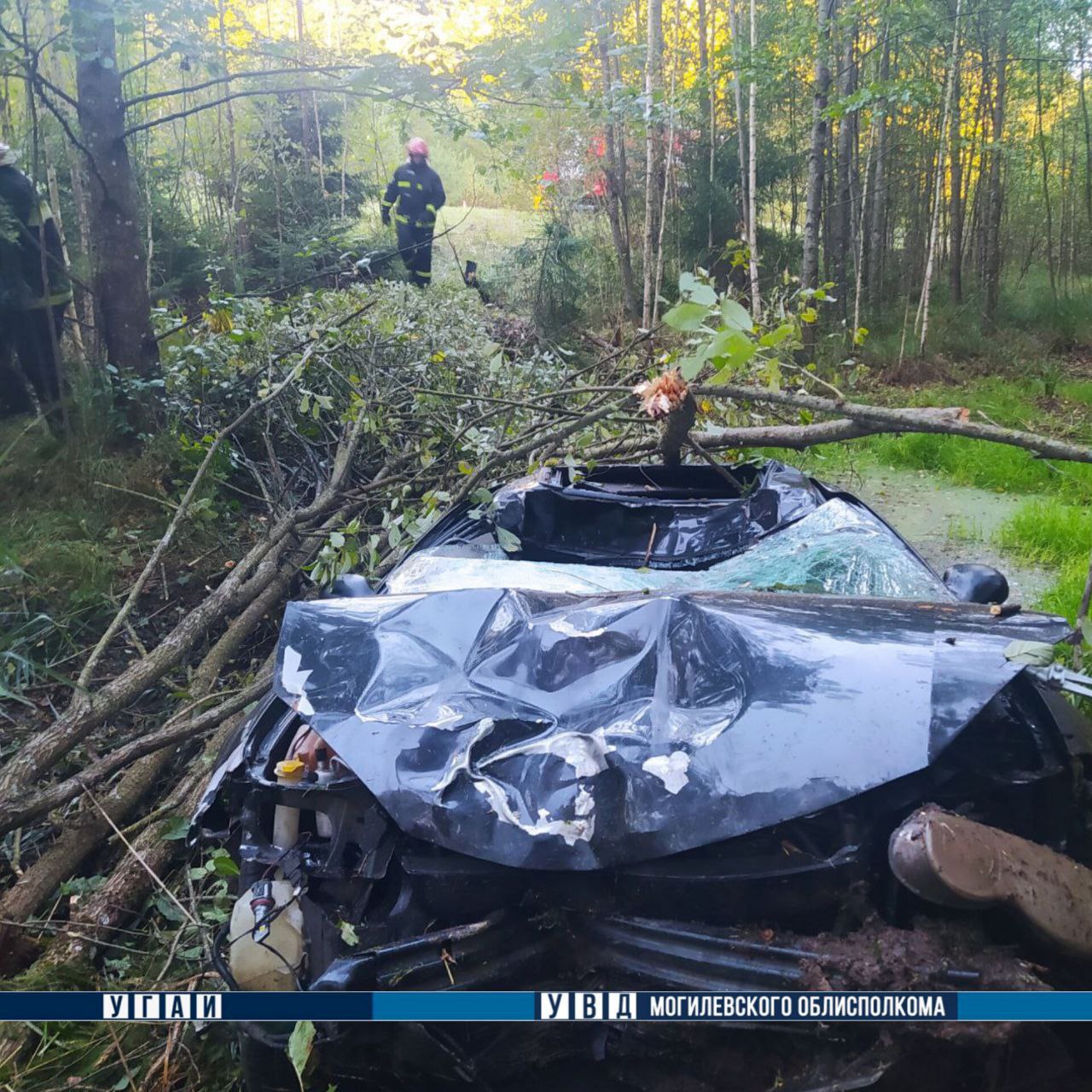 Ð¤Ð¾ÑÐ¾ - Ð£ÐÐ ÐÐ¾Ð³Ð¸Ð»ÐµÐ²ÑÐºÐ¾Ð³Ð¾ Ð¾Ð±Ð»Ð¸ÑÐ¿Ð¾Ð»ÐºÐ¾Ð¼Ð°