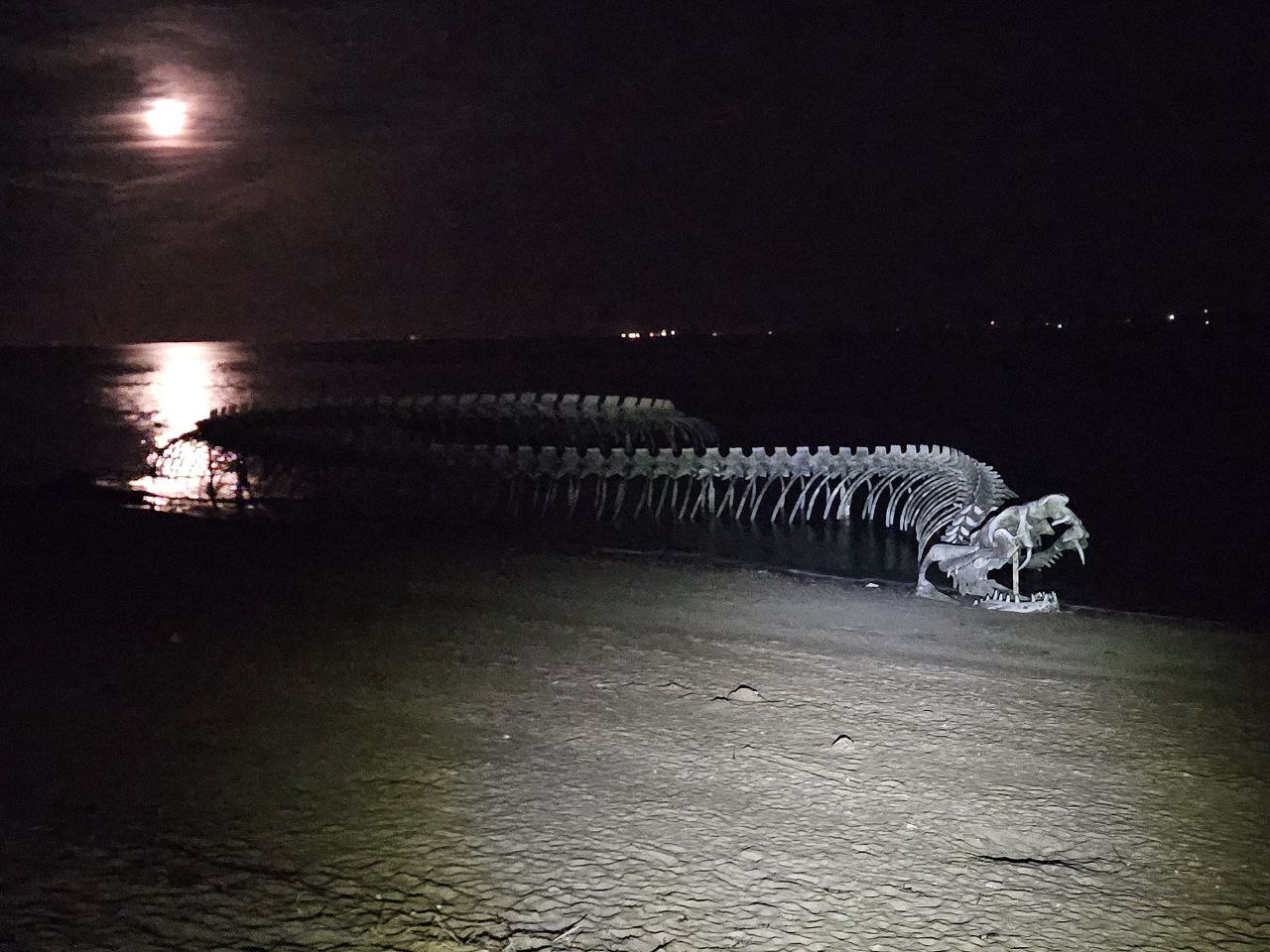 Ð¤Ð¾ÑÐ¾ Ð¸Ð· Ð°ÑÑÐ¸Ð²Ð° Ð³ÐµÑÐ¾Ñ