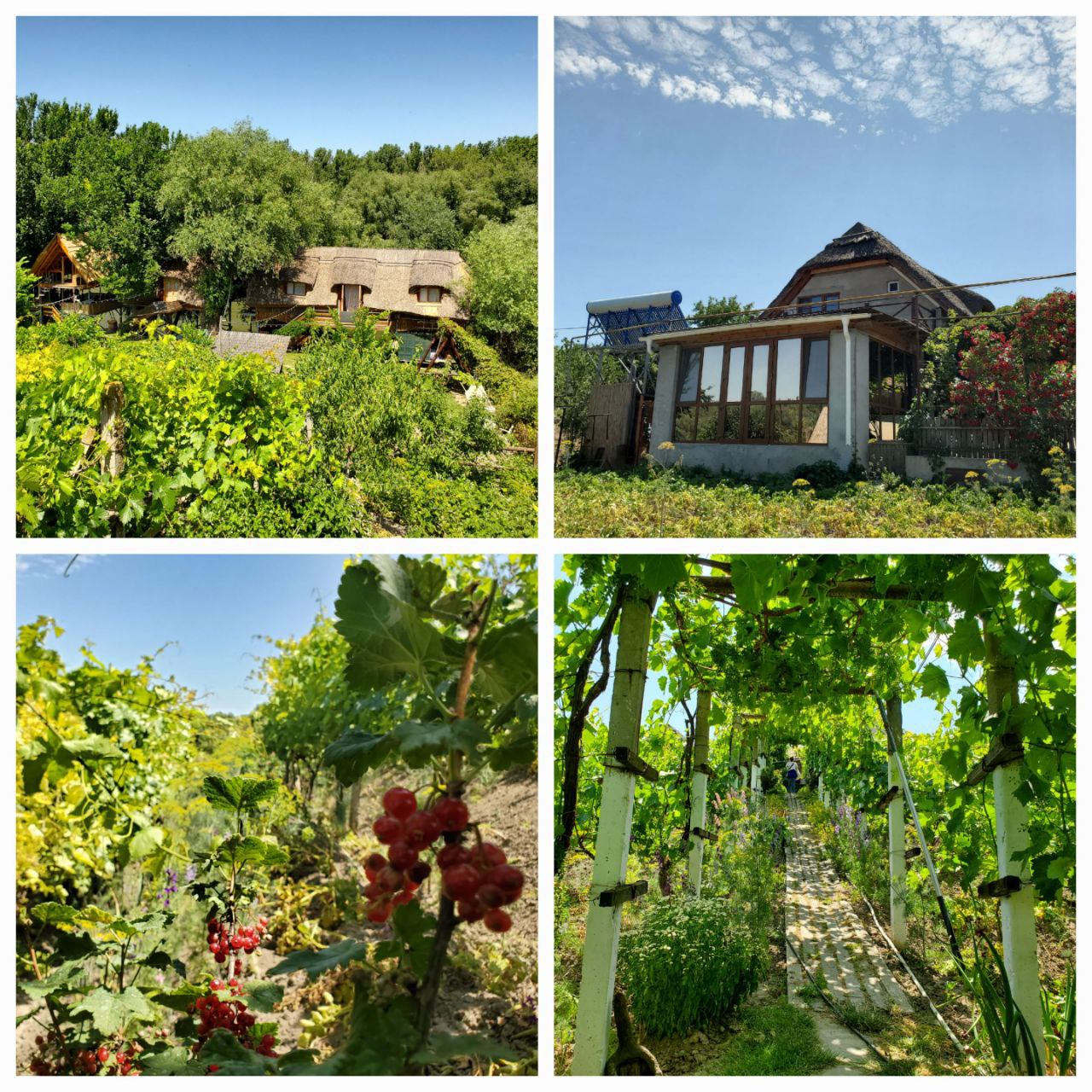 ÐÐ°Ð½ÑÐ¸Ð¾Ð½ Â«MeÈter FaurÂ». Ð¤Ð¾ÑÐ¾: Ð¢Ð°ÑÑÑÐ½Ð° ÐÐµÐ½Ð´ÐµÐ»Ñ