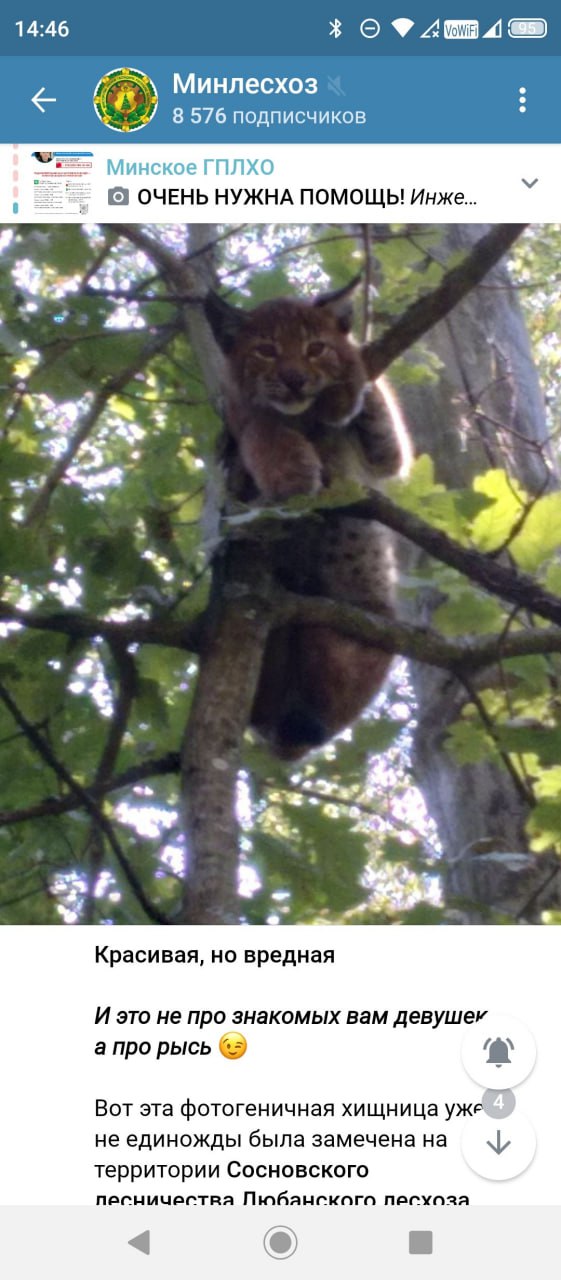 Ð ÐÐ¸Ð½Ð»ÐµÑÑÐ¾Ð·Ðµ Ð·Ð°Ð½ÐµÑÑÐ½Ð½ÑÑ Ð² ÐÑÐ°ÑÐ½ÑÑ ÐºÐ½Ð¸Ð³Ñ ÑÑÑÑ ÑÑÐ¸ÑÐ°ÑÑ Ð²ÑÐµÐ´Ð½ÑÐ¼ Ð²Ð¸Ð´Ð¾Ð¼.