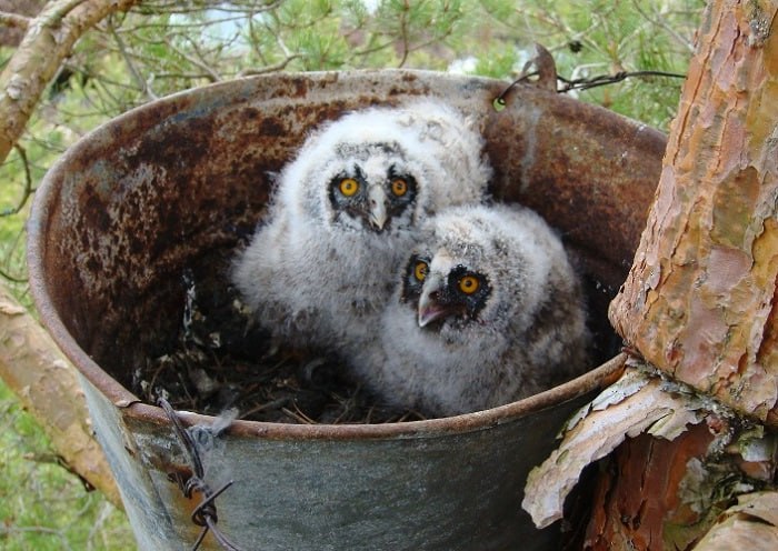 Ð¡Ð¾Ð²Ñ Ñ Ð²ÑÐ´ÑÐ°Ñ