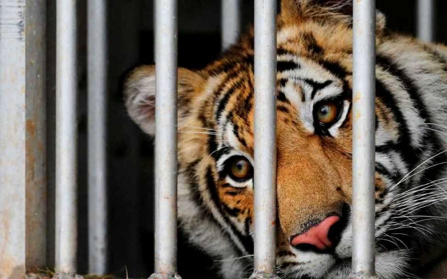 ÐÐ»Ð»ÑÑÑÑÐ°ÑÐ¸Ð²Ð½Ð¾Ðµ Ð¸Ð·Ð¾Ð±ÑÐ°Ð¶ÐµÐ½Ð¸Ðµ