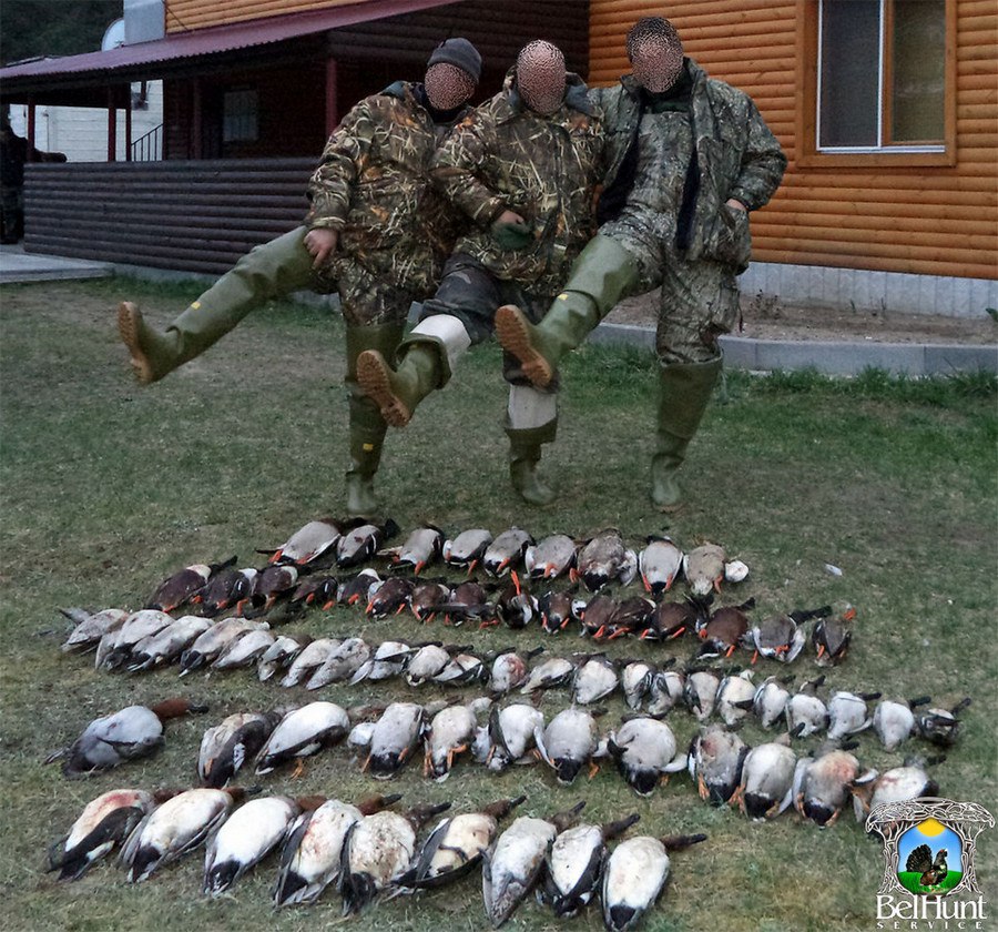 Ð¤Ð¾ÑÐ¾ - belhuntservice.com