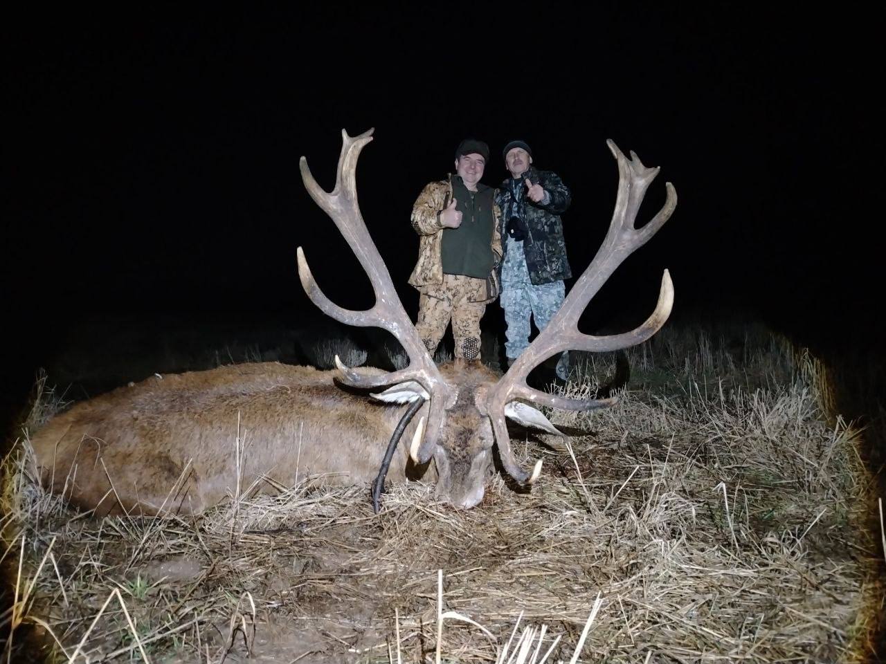 ÐÐ¾ÑÑÐ¸ Ð¸Ð· Ð Ð¾ÑÑÐ¸Ð¸ Ñ ÑÑÑÐ¿Ð¾Ð¼ Ð±Ð»Ð°Ð³Ð¾ÑÐ¾Ð´Ð½Ð¾Ð³Ð¾ Ð¾Ð»ÐµÐ½Ñ