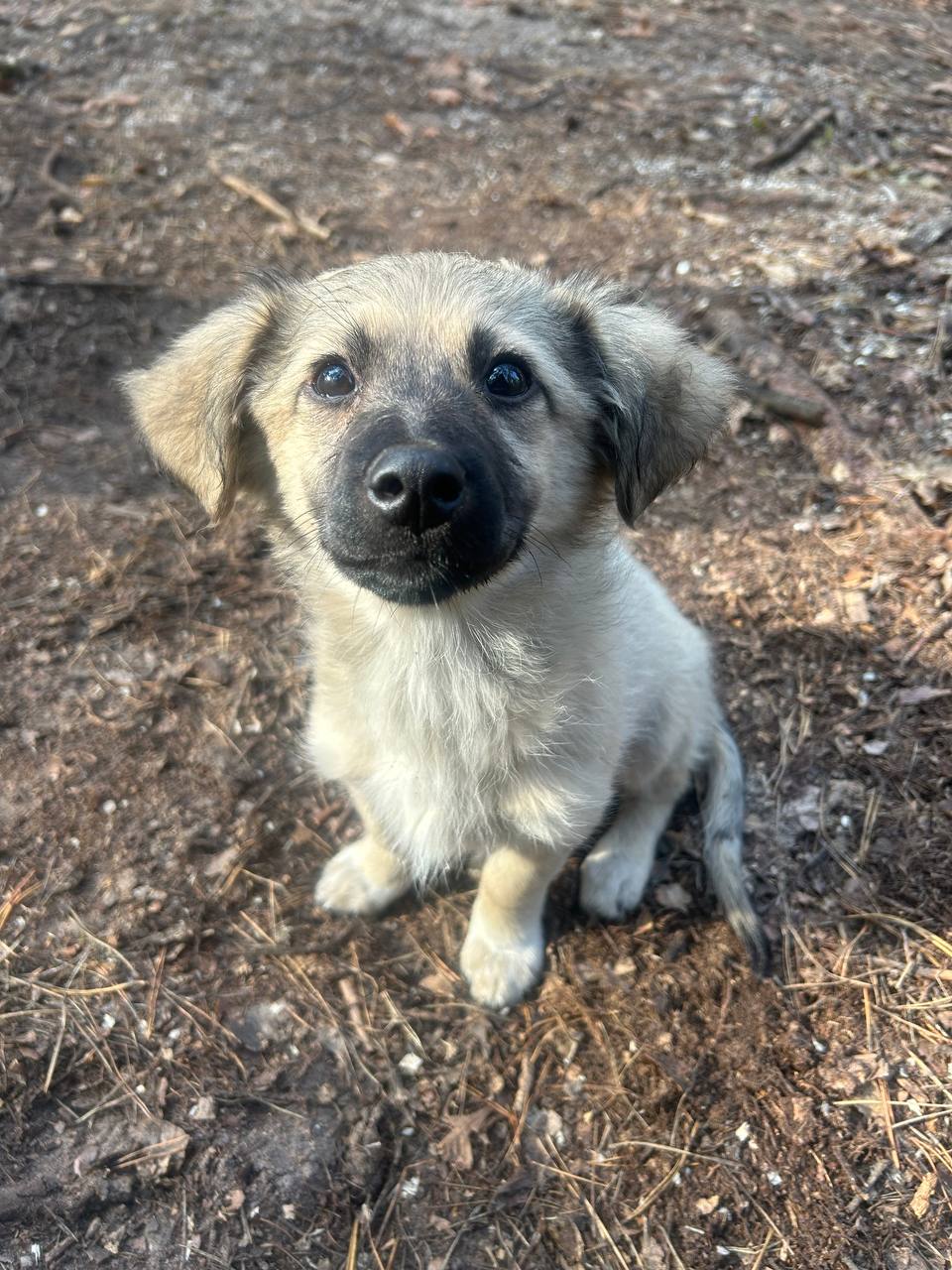 Ð¤Ð¾ÑÐ¾ - Ð²Ð¾Ð»Ð¾Ð½ÑÐµÑÐ¾Ð²