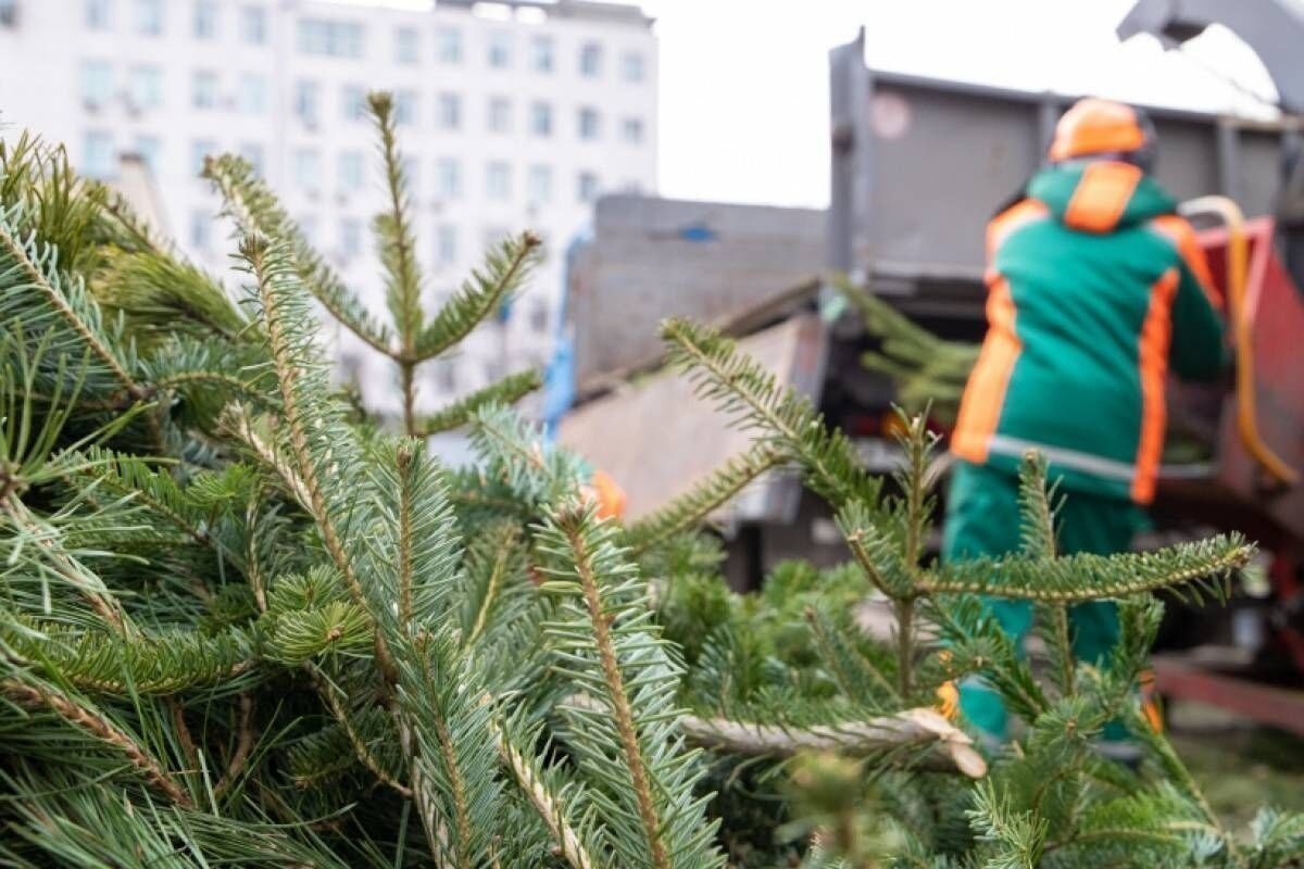 ÐÐ»Ð»ÑÑÑÑÐ°ÑÐ¸Ð²Ð½Ð¾Ðµ Ð¸Ð·Ð¾Ð±ÑÐ°Ð¶ÐµÐ½Ð¸Ðµ