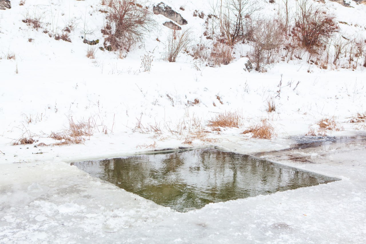 Ð¤Ð¾ÑÐ¾ - Envato