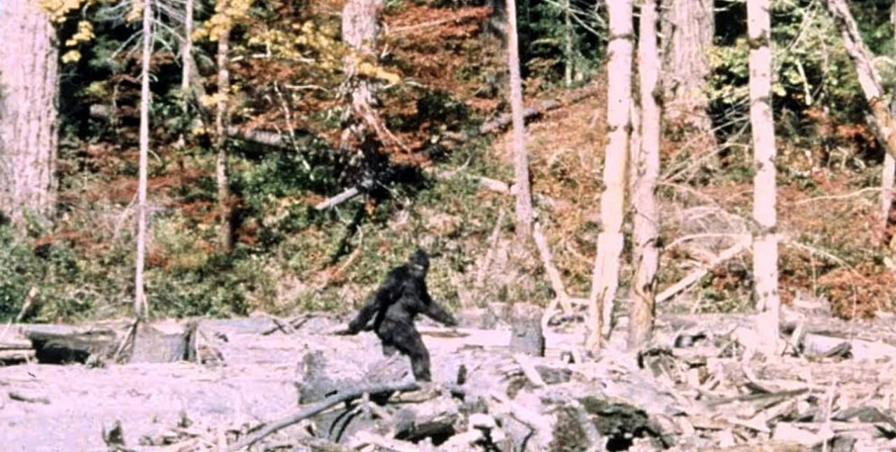  Ð¡Ð°Ð¼Ð¾Ðµ Ð¸Ð·Ð²ÐµÑÑÐ½Ð¾Ðµ Ð¸Ð·Ð¾Ð±ÑÐ°Ð¶ÐµÐ½Ð¸Ðµ Ð±Ð¸Ð³ÑÑÑÐ°, ÑÐ´ÐµÐ»Ð°Ð½Ð½Ð¾Ðµ Ð² ÐÐ°Ð»Ð¸ÑÐ¾ÑÐ½Ð¸Ð¸  Ð²  1967 Ð³Ð¾Ð´Ð°.