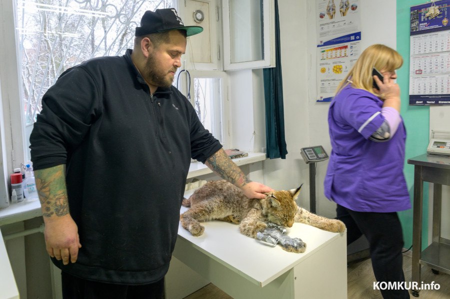 Ð ÑÑÑÐ½Ð¾Ðº, ÐºÐ¾ÑÐ¾ÑÑÐ¹ Ð¿Ð¾Ð¿Ð°Ð» Ð² ÐºÐ°Ð¿ÐºÐ°Ð½ Ð² Ð´ÐµÐºÐ°Ð±ÑÐµ 2025 Ð³Ð¾Ð´Ð°. ÐÐ¾Ð·Ð´Ð½ÐµÐµ ÑÑÑÑ Ð¿ÐµÑÐµÐ´Ð°Ð»Ð¸ Ð² Ð·Ð¾Ð¾Ð¿Ð°ÑÐº ÐÐµÑÐµÐ·Ð¸Ð½ÑÐºÐ¾Ð³Ð¾ Ð±Ð¸Ð¾ÑÑÐµÑÐ½Ð¾Ð³Ð¾ Ð·Ð°Ð¿Ð¾Ð²ÐµÐ´Ð½Ð¸ÐºÐ°. 