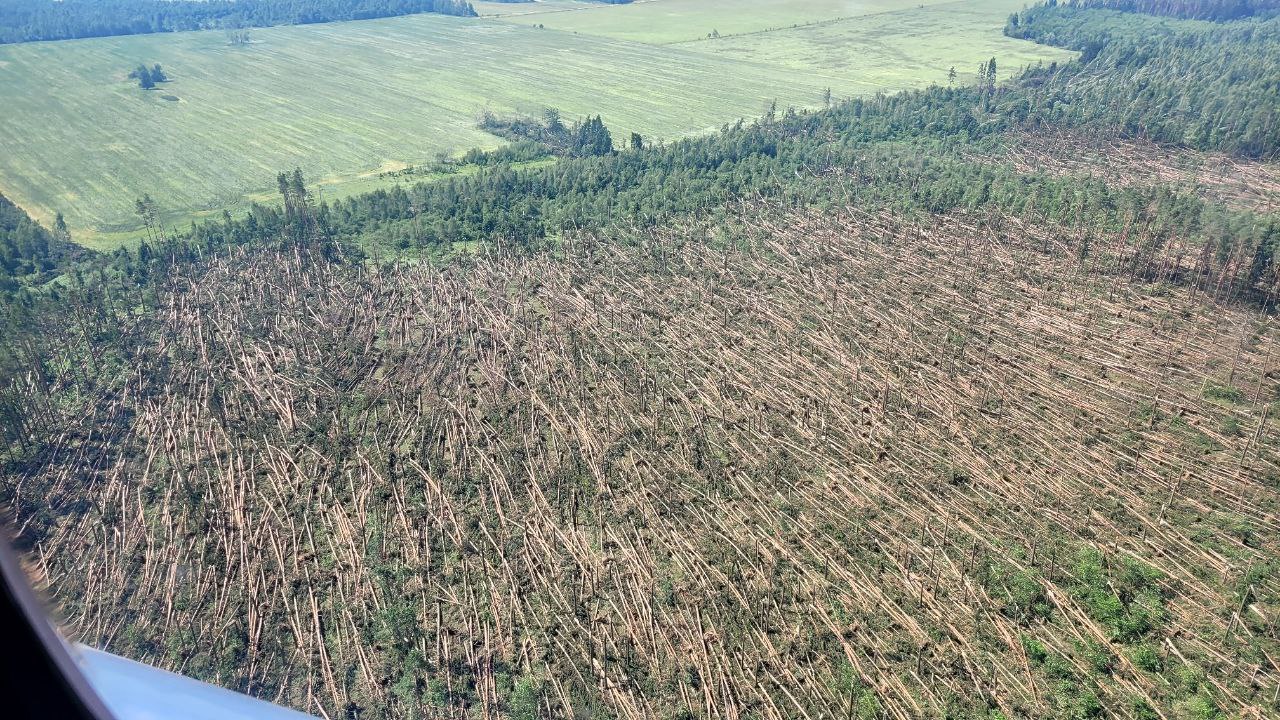 ÐÐ¾ÑÐ»ÐµÐ´ÑÑÐ²Ð¸Ñ ÑÑÐ°Ð³Ð°Ð½Ð½Ð¾Ð³Ð¾ Ð²ÐµÑÑÐ° Ð² ÐÐ¾Ð³Ð¸Ð»ÑÐ²ÑÐºÐ¹ Ð¾Ð±Ð»Ð°ÑÑÐ¸ Ð»ÐµÑÐ¾Ð¼ 2025 Ð³Ð¾Ð´Ð°