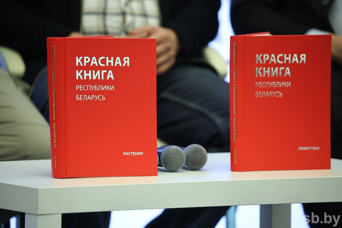 Ð¤Ð¾ÑÐ¾ - sb.by 