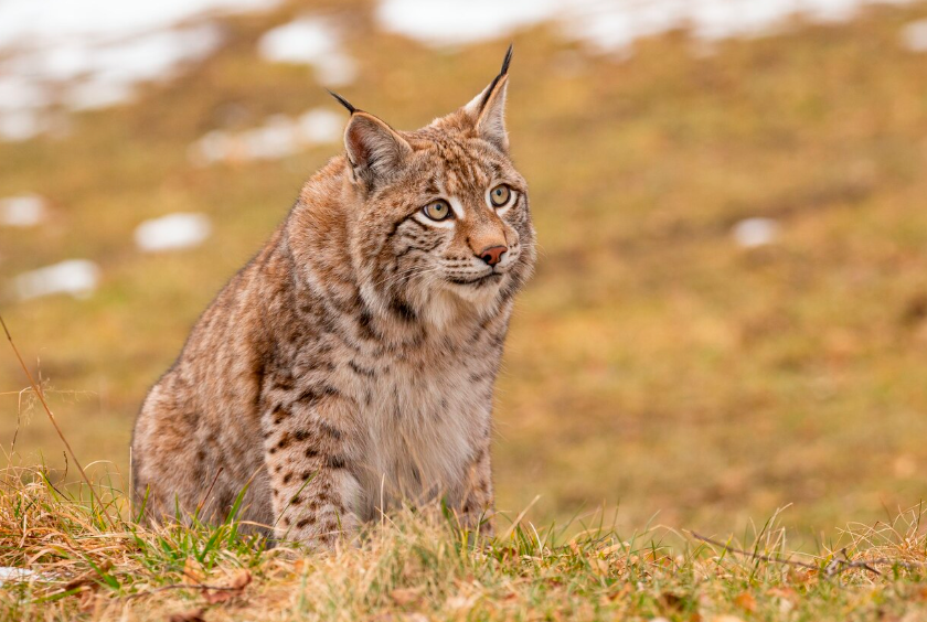 ÐÐ»ÑÑÑÑÐ°ÑÑÑÐ½Ð°Ðµ ÑÐ¾ÑÐ°