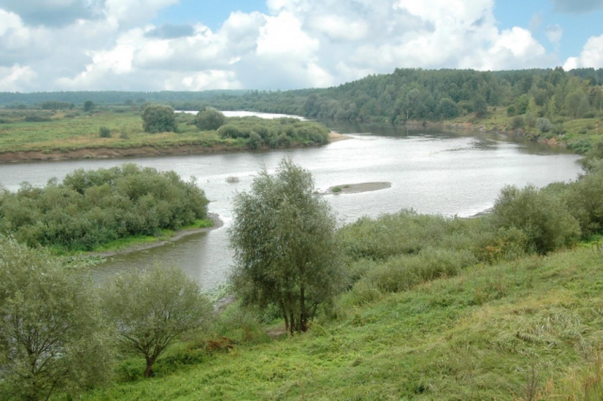 Река днепр жлобин. Река речица. Жлобин уровень реки днепр в жлобине. Река днепр в городе жлобине. Жлобин уровень реки днепр в жлобине.