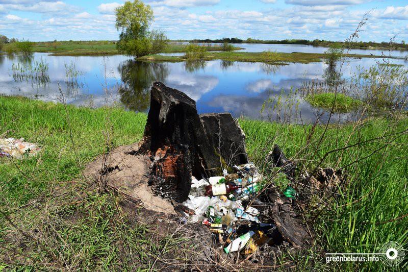 Ольга Харитонович. Номинация «Ужасная». Туров. «К сожалению, здесь мусорят все, начиная от местных жителей и рыбаков, заканчивая приезжими туристами».