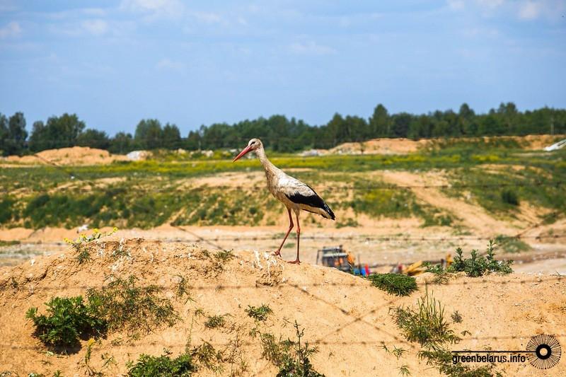 Игорь Бондарев. А вот здесь нам кажется, что снимок больше относится к номинации «Ужасная». Вы согласны?
