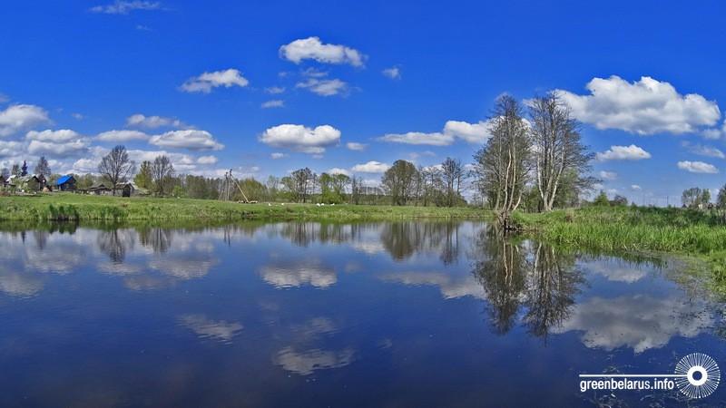 Зміцер Пылыпіў. Намінацыя «Цудоўная». Аўтар жыве ў Брэсце, працуе ў дзяржаўнай прыродаахоўнай установе «Рэспубліканскі заказнік «Прыбужскае Палессе», а вырас у вёсцы Агароднікі, што каля горада Высокае Камянецкага раёна.