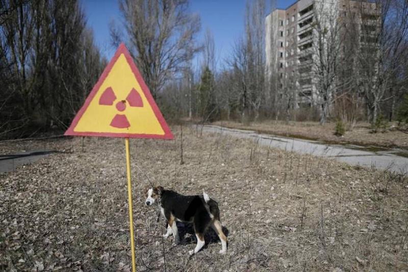 Chernobyl disaster explained_ Worldâs worst nuclear disaster occurred 35 years ago today - TheSpuzz