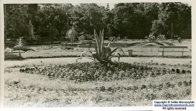 ÐÐ¾ÑÑÐ°Ð´, Ð±Ð°Ð½Ð°Ð½, 20-Ðµ, Ð¸Ð· ÐºÐ¾Ð»Ð»ÐµÐºÑÐ¸Ð¸ ÐÐ¾ÑÐ¾ÑÐ¸Ð»ÑÑÐºÐ¾Ð³Ð¾ Ð¤.