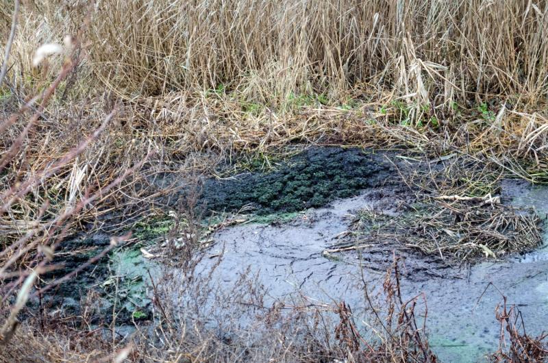 Ð¢Ð°Ðº Ð²ÑÐ³Ð»ÑÐ´ÑÑ Ð¾ÑÐ°Ð´ÐºÐ¸ Ð½Ð° Ð¸Ð»Ð¾Ð²ÑÑ Ð¿Ð»Ð¾ÑÐ°Ð´ÐºÐ°Ñ Ð² ÐÐ¸ÑÐµÐ±ÑÐºÐµ